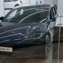 마린블루's | 전시장] 테슬라 모델3 마린블루 실물 컬러 구경하러 신세계백화점에 있는 테슬라 부산스토어 방문후기!