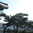 금봉암 - 1859 | 금봉암