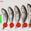 영광 - 동대문구 황물로15다길 15 | 영광