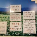 뽀바가게 이미지
