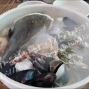 세숫대야해물칼국수 이미지
