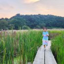 경북식당 이미지