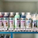 내안에너있DOG 이미지