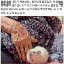 용준농장 | 도대체 언제야, 도대체 어디야 저기가 하는 마음으로