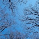 역삼2동주민센터 이미지