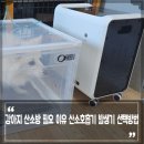 강아지 산소방 필요 이유 산소호흡기 발생기 선택방법과 오투맥스Pro 후기