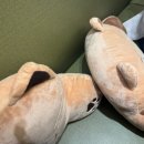 깜짝 | 영등포 훠궈 맛집 하이디라오 영등포점 l 친구 청첩장 모임 깜짝파티 후기