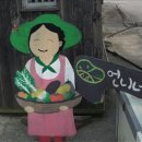 언니네텃밭 봉강공동체 이미지