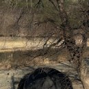 노지하우스 | 청도 노지 캠핑 장소 후기 (아콘하우스4.75_)