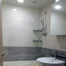 조천중학교 이미지