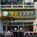 신일환동물병원 이미지