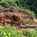 이대연 행정사 이미지