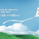 PCA생명보험㈜ - 계약관리팀 사원 모집 (정규직) ~9/30 이미지