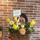 그루밍폼폼 이미지