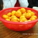 이모네 밥상 이미지