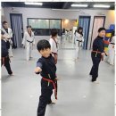 용인대 승리 태권도장 이미지