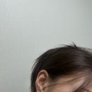 재철이의제철휴게소 | 왔다네 정말로