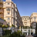 Beauty in Dog's 이미지