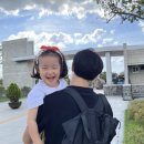 고창개봉박두부 이미지