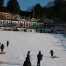 홍삼의신비