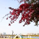 10월25일(일)만원의행복!! 한강공원걷고&amp;민속놀이&amp;치맥&amp;캔파님통키타버스킹떼창 이미지