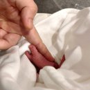 삼성한방병원 | 둘] 제왕절개 출산(출산가방 병원용 리스트, 37주 5일 출산, 다산 삼성프라임, 제왕절개 수술 4박 5...