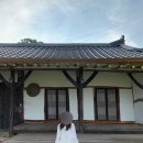 화성 한옥팬션 싱싱하우스 | [숙소] 서울근교 촌캉스 화성 싱싱하우스 한옥펜션 솔직후기