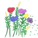 소망꽃화원 이미지