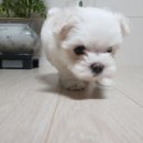 (주)아가톡