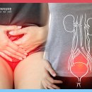 뉴연세여성의원 이미지