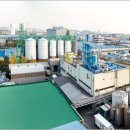 히트피자 이미지