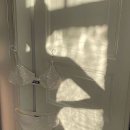 케틀벨아시아GYM 이미지