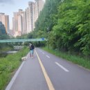 구미교→미금교(좌안) 이미지