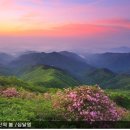 금수강산 이미지