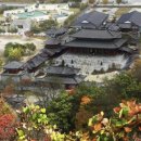 온달관광지 이미지