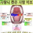 치과에서 치료 받은 후 사망 이미지