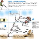 카페 취지하고는 안맞지만 새로운 참돔 생미끼 낚시인 코마세마다이에 관해 짫게 소개합니다 이미지