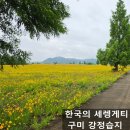 낙동강둔치 구미보명품화장실 | 구미 가볼 만한 곳 한국의 세렝게티 강정습지 주차장 화장실 금계국 자전거 라이딩의 천국