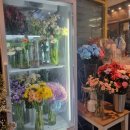 라페플라워(Lafee Flower)