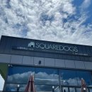 스퀘어독스 서산점 | [강아지와 함께] 애견호텔링 스퀘어독스 서산점: 반려견놀이터, 강아지호텔, 애견미용, 유치원, 애견카페