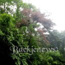 화성면사무소 이미지