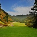 광릉골프연습장 이미지