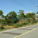 메추리 펜션 이미지