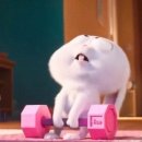 바나나휘트니스 | 원주 재활 PT 무실동 헬스장 핏앤피트니스 PT12회차 6주 인바디 후기