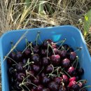 추월농장2 이미지