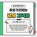 진도컴퓨터