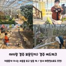 새들유치원 | 경주 보문단지) 높은 층고에 자유롭게 다니는 새들을 보고 싶을 때 &#39;경주 버드파크&#39; 강추해요! 실내체험...