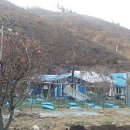 김성옥 인권행정사사무소 이미지