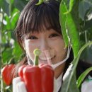 이유리농장 이미지