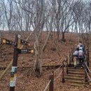 칠곡군 '가산산성 개복수초'. 상춘 겨울(M 클럽 3. 9. 8화)